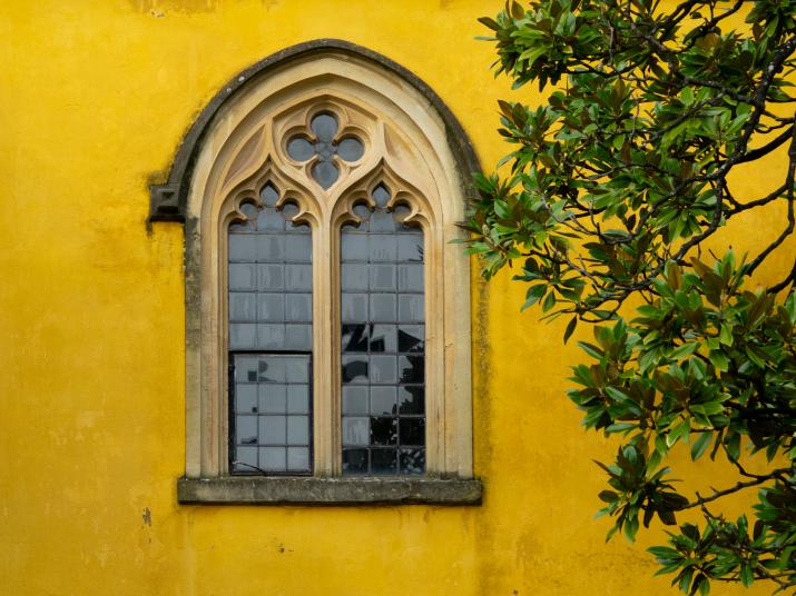 Window
