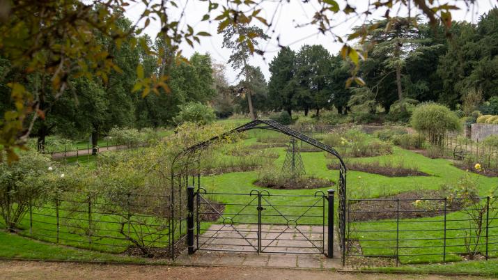 Rose Garden
