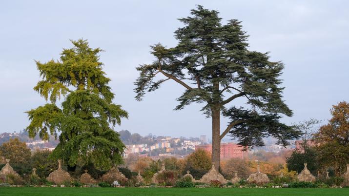 Views across Bristol from the gardens