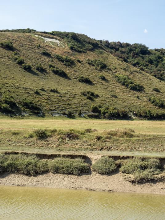 The White Horse