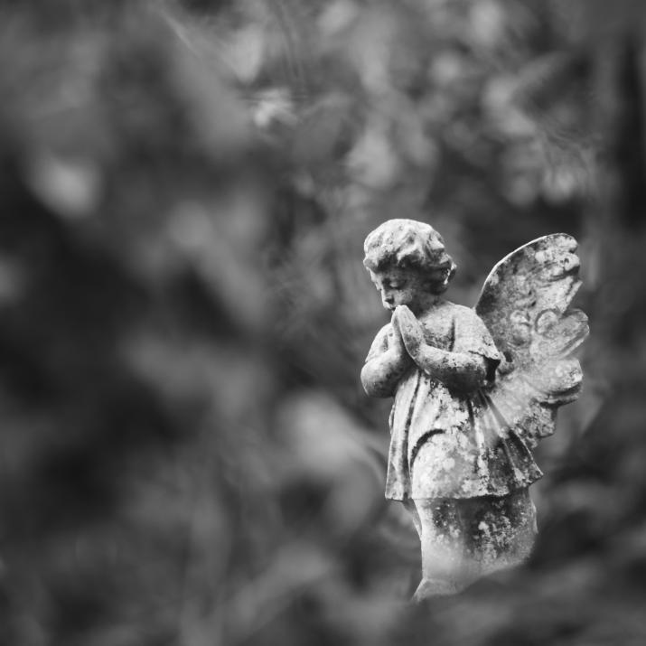 Weeping Angel
