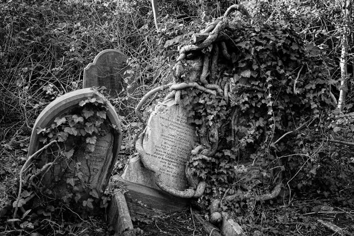 Overgrown