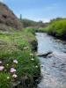 A stream running through a valley