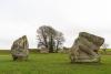 Avebury stones