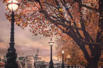 Peter Fenech Autumn in the city