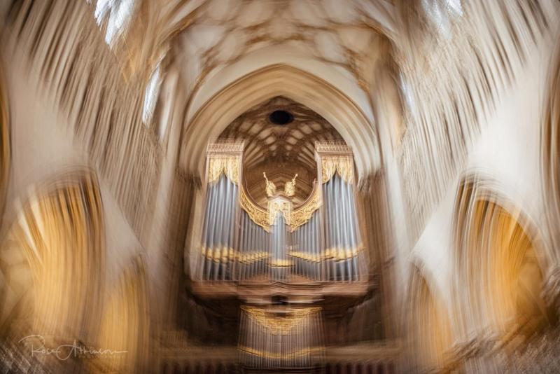 Wells Organ
